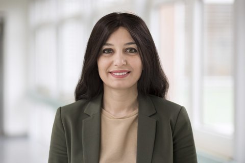 Dilek Tecik